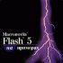 Flash 5  Web-  Web-