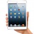    iPad 5  iPad mini II