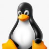           Linux    