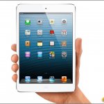    ,  .             iPad Mini.   ,  ,             7- .  ,      ,  4G LTE,   .