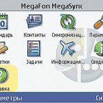  MegaSync       