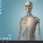 Android. 3D-   Anatomy 3D  Anatronica