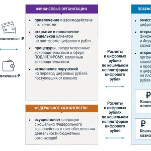 Двухуровневая схема оборота цифрового рубля (источник: Банк России)