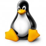  Lustre   Linux 3.11     ,  ,    Transparent Huge Page  hugetlbfs,        .