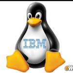1999. Linux   ,  IBM              .
