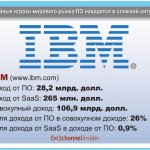 IBM (www.ibm.com).    : 28,2 . .   SaaS: 265 . .  : 106,9 . .       : 26%.    SaaS    : 0,9%.