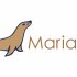 В Microsoft Azure появилась возможность использовать MariaDB