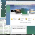 TrustVerse Linux XP Desktop