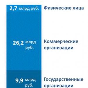 Рис. 1. Структура российского рынка офисного ПО, 2020 г. Источник: J’Son & Partner Сonsulting.