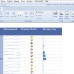 SQL Server Report Builder       ,     Excel 2010