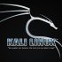 Новый релиз ПО для комплексного аудита безопасности Kali Linux 1.1.0