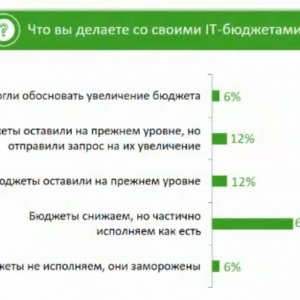 Почти две трети российских компаний хотя и снижают ИТ-бюджеты, но продолжают хотя бы частично их исполнять (источник: презентация ДРТ)