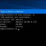 Microsoft ,   Linux  Windows 10        ,     Linux