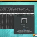  Terminal.       Linux-  .   GNOME Terminal      ,  ,     .