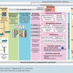    Alcatel-Lucent MCSDA