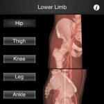iOS.   Monster Anatomy HD  Lower Limb