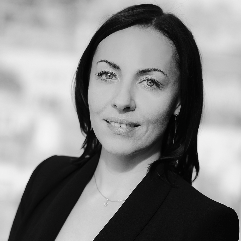 Софт руководитель. Софт руководитель. Евгений соколов фкн. Илья родионов баумана. Софт руководитель.