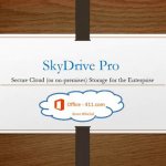 Microsoft    SkyDrive Pro
