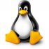 Linux 3.11      Lustre