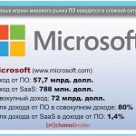 Microsoft (www.microsoft.com).    : 57,7 . .   SaaS: 788 . .  : 72 . .       : 80%.    SaaS    : 1,4%.
