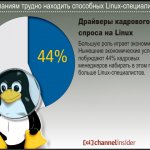     Linux.    .     44%        Linux-.