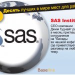 1. SAS Institute.  CEO          "   ",      .