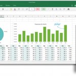    Excel for Windows 10