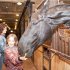 Фоторепортаж: Путешествие в мир добрых лошадей подарила Группа Компаний «Форус» детям в их праздник!