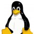 Linux Foundation     