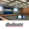 Audinate DDM-PL-PLT -  Platinum Edition     (  50-   250- )